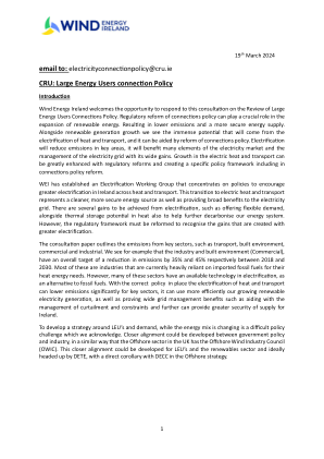 CRU：大型能源用户连接政策